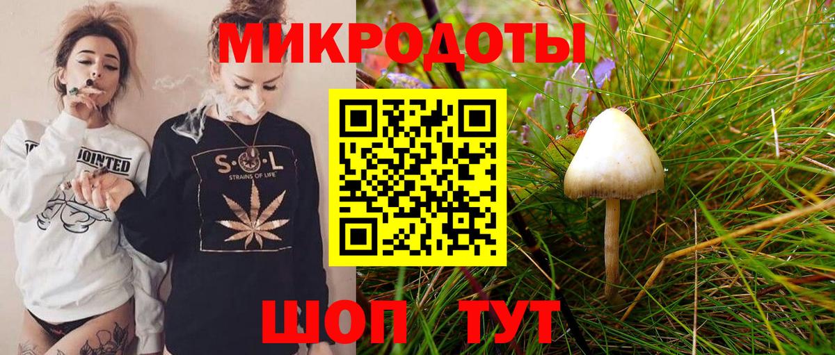 Томск  Псилоцибиновые грибы мухоморы  даркнет сайт  Вход с VPN 