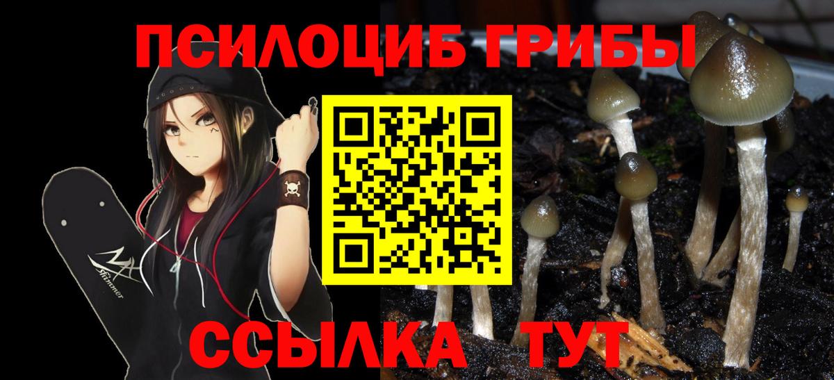 Галлюциногенные грибы MAGIC MUSHROOMS Томск